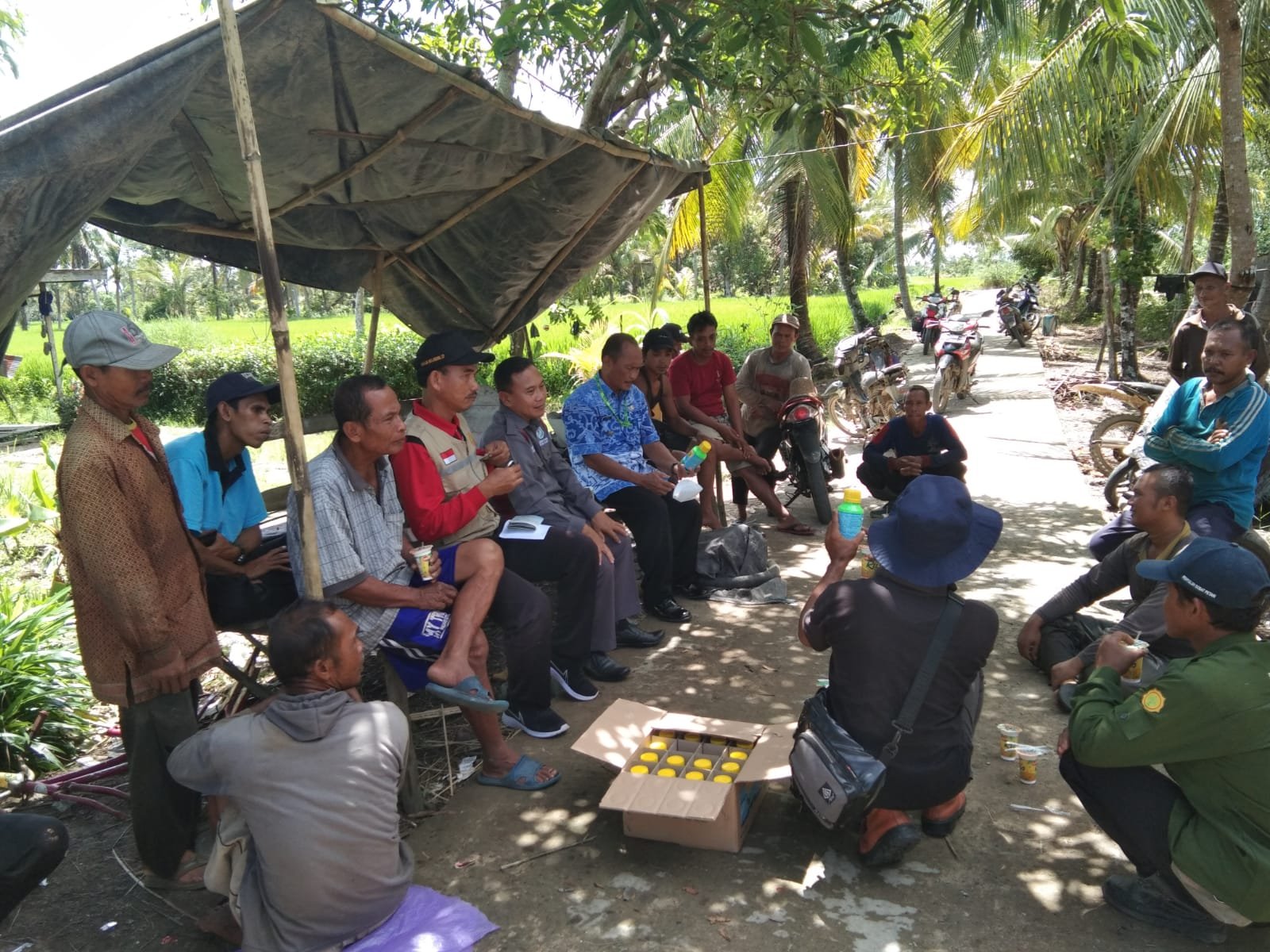 Lakukan Sosialisasi Dan Pemberian Obat Perangi Hama Tungro-tungro