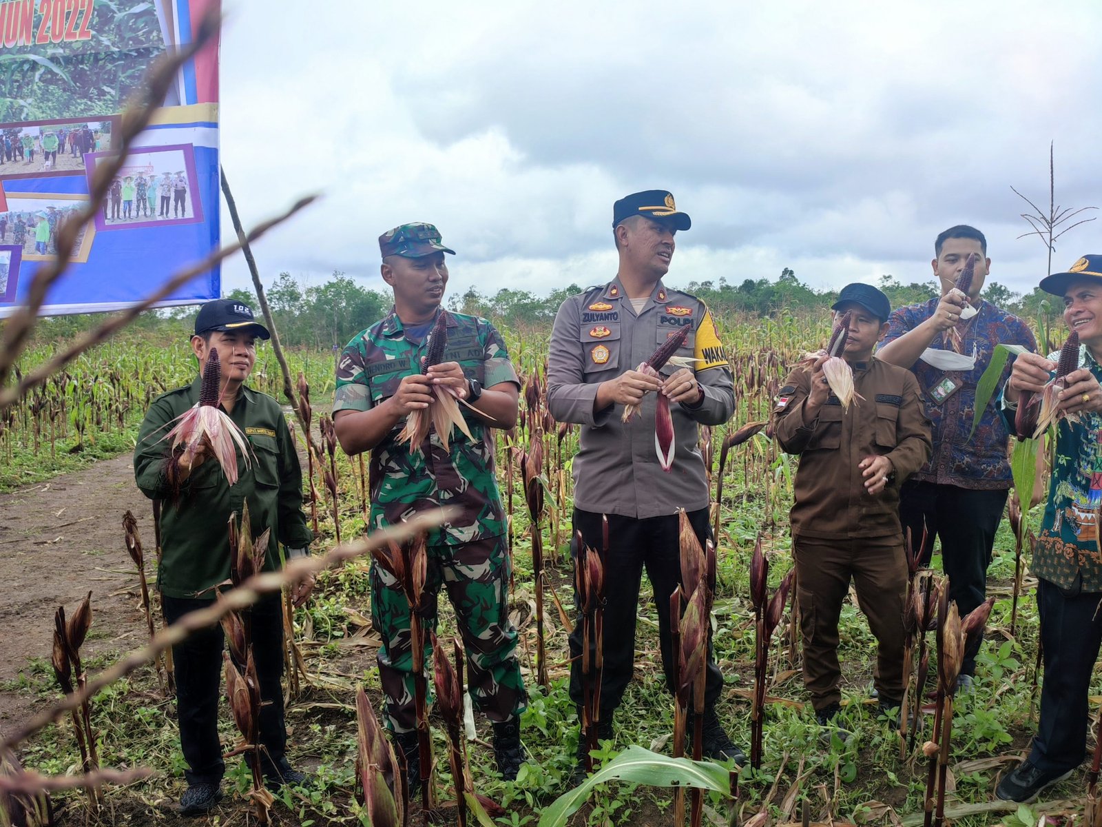 Dandim 1012 Buntok Panen Jagung Ungu di Bartim