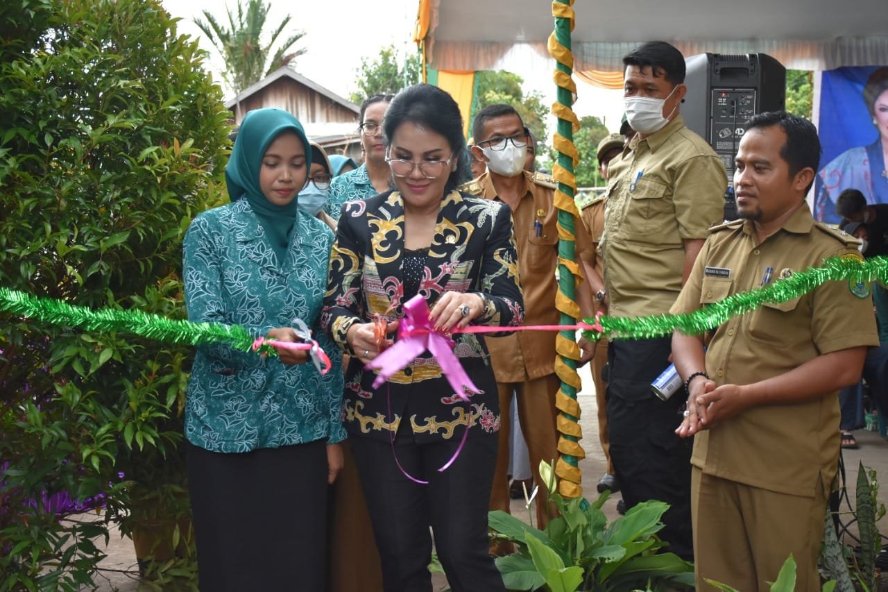 Pembentukan PATBM dan Puspaga di Desa Pulau Telo
