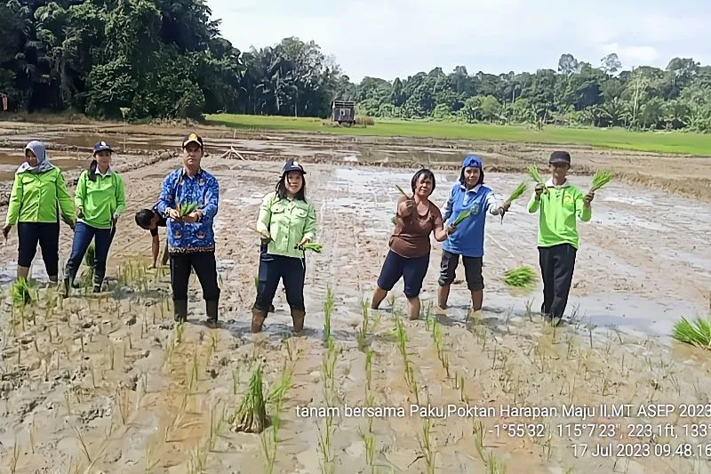 DPKP Minta BPP Optimalkan Pendampingan di Masa Tanam Asep 2023