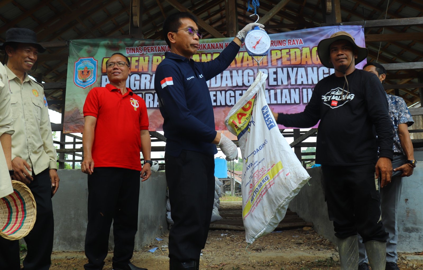 Pj Bupati Mura Hermon Panen Perdana Ayam Pedaging dan Petelur