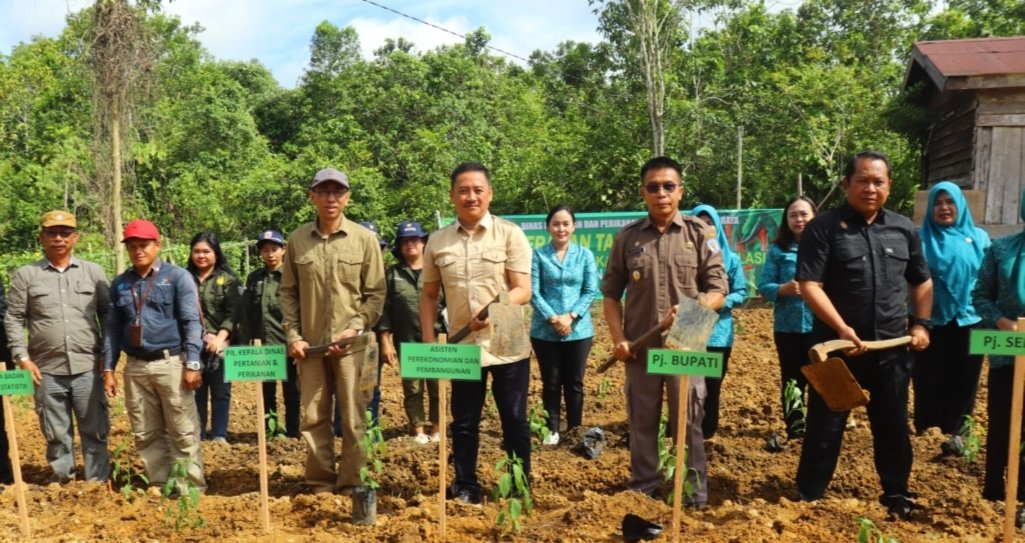 PJ Bupati Hermon Canangkan Gerakan Tanam Cabai