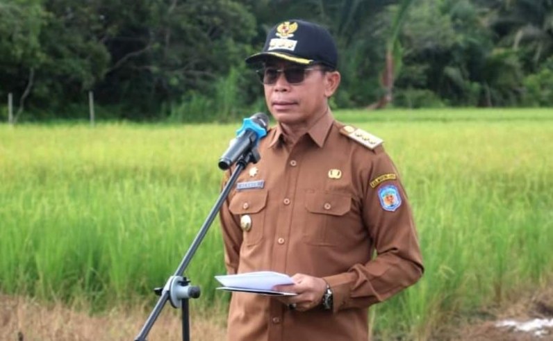 Hermon : Penen Raya Padi untuk Tekan Laju Inflas
