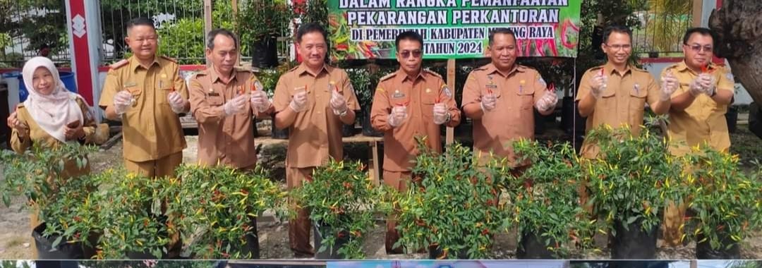 Hermon dan Rudie Roy Panen Perdana Tanaman Cabe di BappedaLitbang