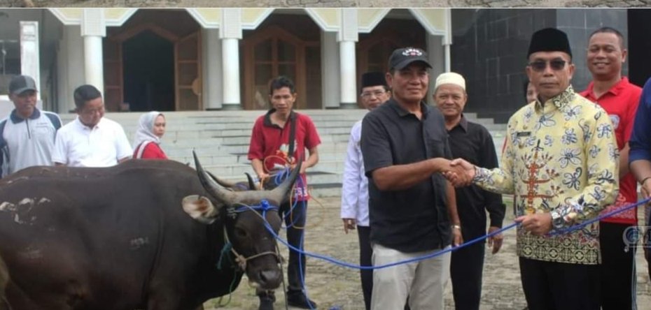 Jelang Iduladha Pemkab Mura Salurkan Puluhan Sapi Kurban