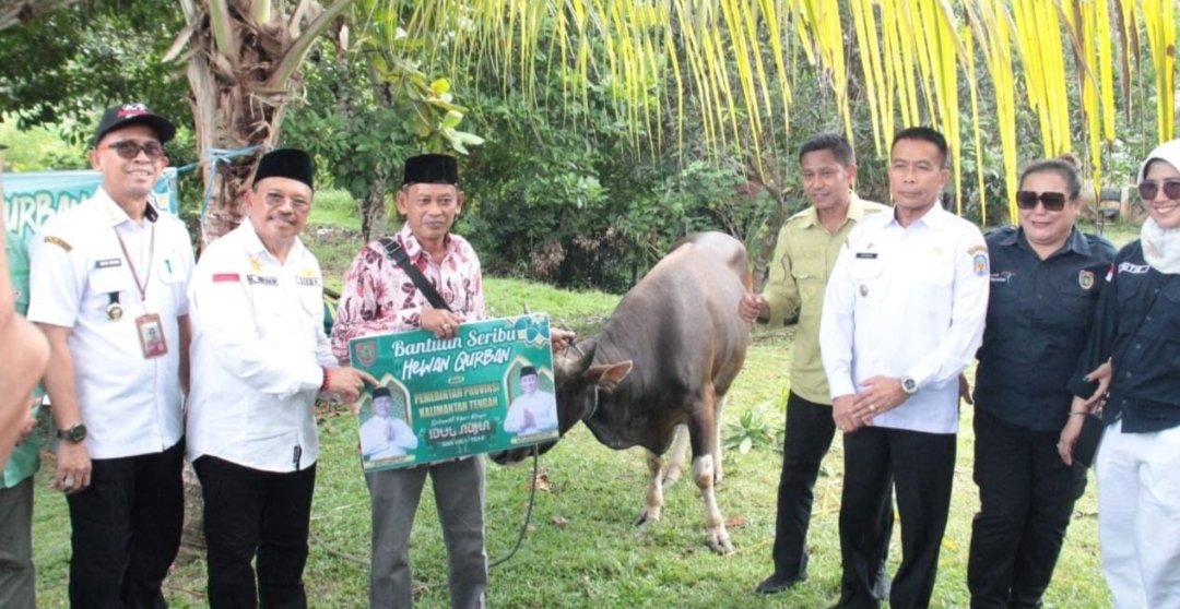 Pemkab Murung Raya Terima Sapi Kurban dari Provinsi Kalteng