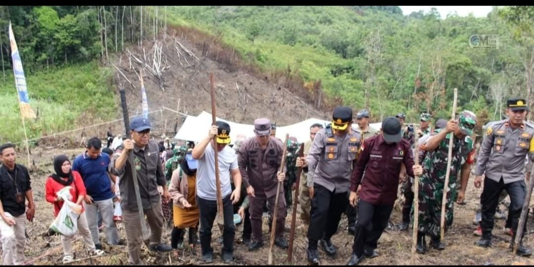 Forkopimda Murung Raya Bersama Gubernur Kalteng Tanam Padi Gogo