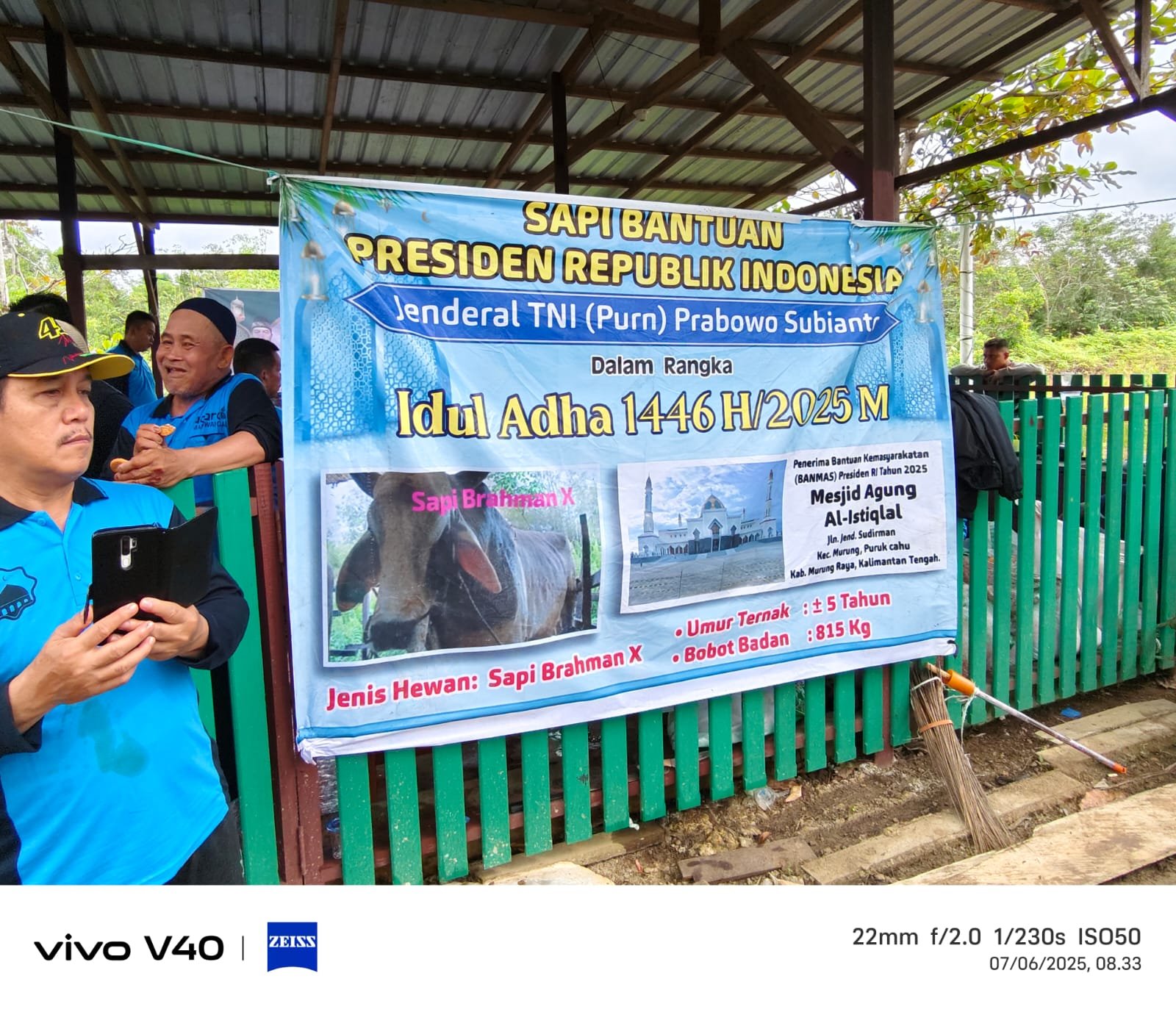 Masyarakat Saksikan Pemotongan Hewan Qurban Idul Adha Di Mesjid Agung Al – Istiqlal, Kota Puruk Cahu …!!!