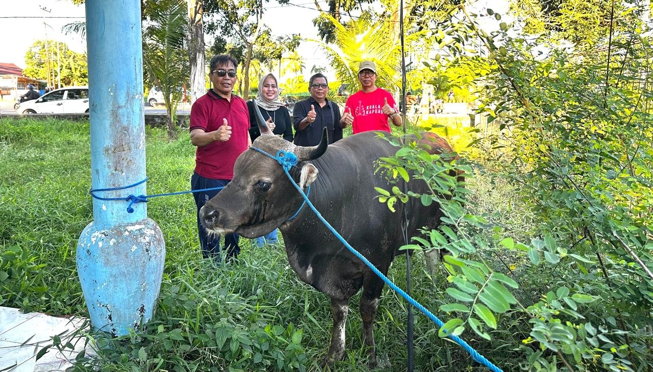 PWI Kapuas Apresiasi Bantuan Sapi Kurban dari Pemkab Kapuas untuk Idul Adha 1446 H