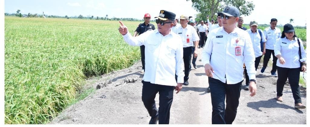 Bupati Kapuas Tinjau Kesiapan Panen Raya Padi di Kecamatan Bataguh