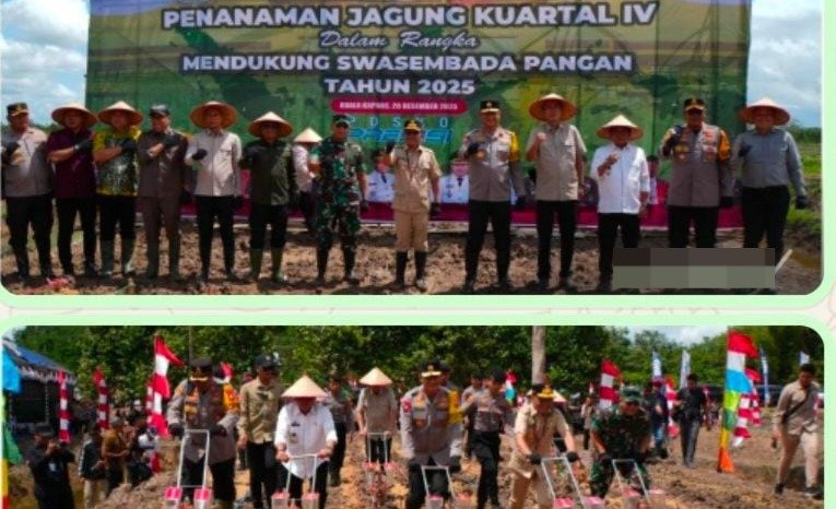Bupati, Wakil Bupati, Bersama Gubernur dan Kapolda Gelar Penanaman Perdana Jagung di Lahan Pertanian Sei Asam