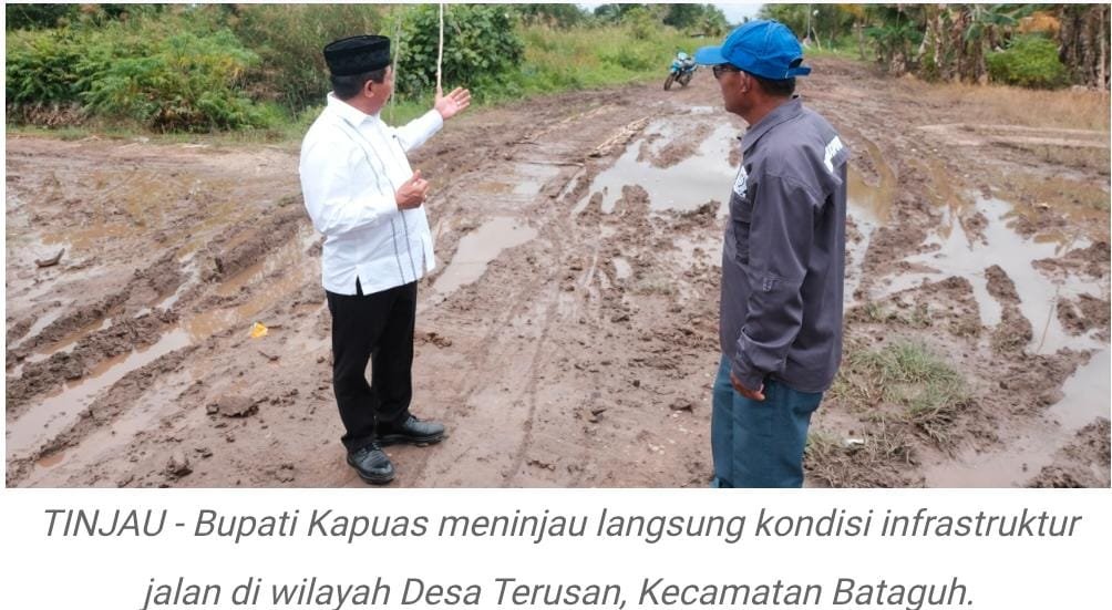 Bupati Kapuas Menghadiri Panen Raya Sekaligus Meninjau Infrastruktur Jalan Desa