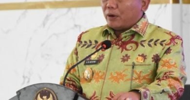 Bupati kapuas