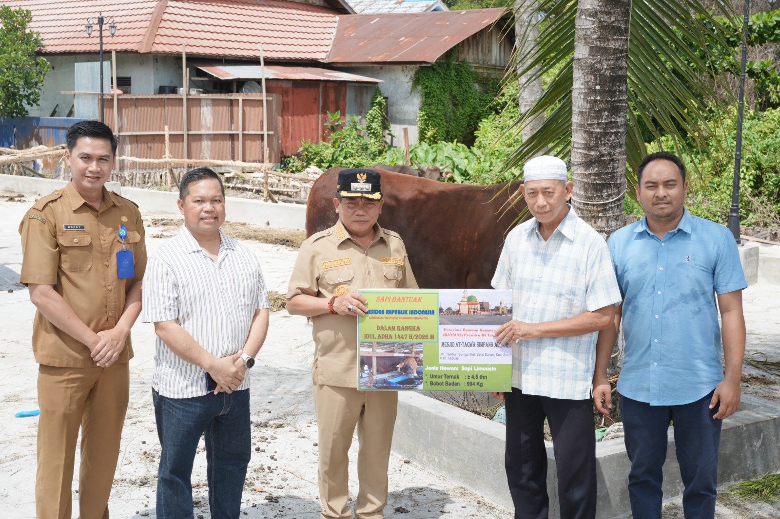 Presiden RI Serahkan Bantuan Satu Ekor Sapi Melalui Bupati Kapuas kepada Masjid At-Taqwa