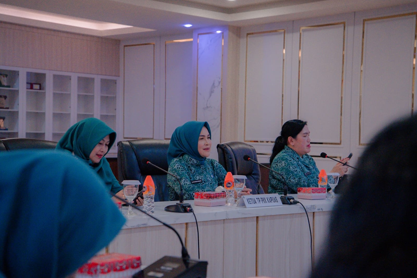 Ketua TP PKK Kapuas Ikuti Edukasi Literasi Keuangan Nasional Bersama OJK Secara Daring