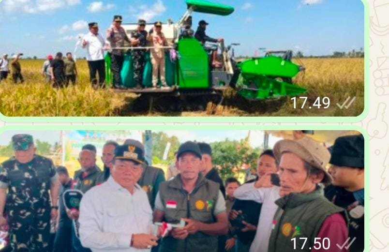 Panen Raya Padi di Kapuas Perkuat Komitmen Ketahanan Pangan Kalimantan Tengah