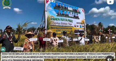 Panen Raya Kapuas Perkuat Komitmen Ketahanan Pangan Nasional