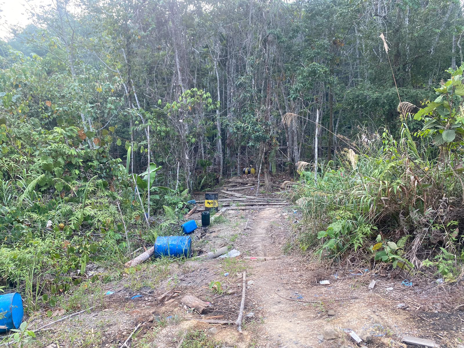 Bupati Heriyus Wanti-Wanti, Dugaan Peredaran Kayu ke Luar Daerah Akan Ditindak